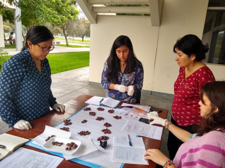 Respaldo Científico en el Origen: Formación Avanzada en Catación de Cacao y Chocolate