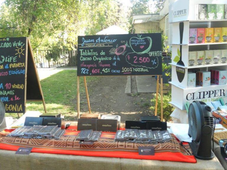 Acordes del Mundo y Cacao Puro: Nuestra Participación en Las Condes (2012)